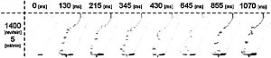 Results of PIV rotor tests for 5ml/min and 1400 1/min; Source [1]